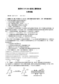 湖南省衡阳市第八中学2024届高三生物上学期8月开学检测试题（Word版附答案）