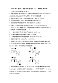 2022-2023学年广东省汕尾市高一（下）期末生物试卷（含解析）