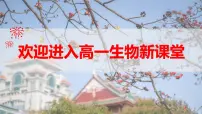 人教版 (2019)必修1《分子与细胞》第1节 细胞是生命活动的基本单位教学演示ppt课件