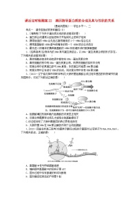 2024版新教材高考生物全程一轮总复习课后定时检测案22基因指导蛋白质的合成及其与性状的关系