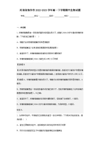 2022-2023学年河南省焦作市高一下学期期中生物试题含答案