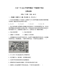 2022-2023学年安徽省六安市一中高一下学期期中生物试题含答案