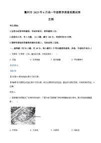 2022-2023学年浙江省衢州市高一下学期期末教学质量检测生物试题含答案