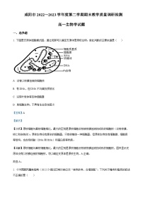 2022-2023学年陕西省咸阳市高一下学期期末生物试题含答案