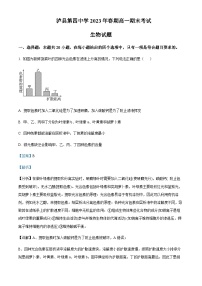 2022-2023学年四川省泸州市泸县第四中学高一下学期期末考试生物试题含答案