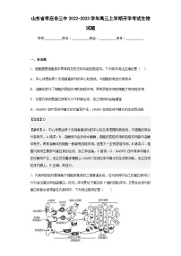 2022-2023学年山东省枣庄市三中高三上学期开学考试生物试题含答案