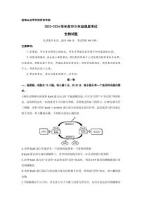 2024济南高三上学期开学摸底考试生物PDF版含答案