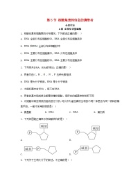 生物必修1《分子与细胞》第5节 核酸是遗传信息的携带者课时练习