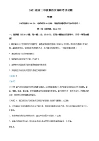 2022-2023学年山西省晋城市第一中学高三下学期8月月考生物试题含答案