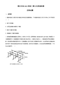 2022-2023学年重庆市南开中学高三下学期第九次质量检测生物试题（word版）