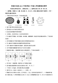 广西贵港市名校2023-2024学年高二生物上学期开学联考试题（Word版附解析）