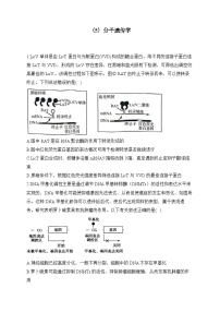 2024届高考生物一轮复习专项练习（5）分子遗传学