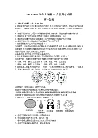 河南省郑州市上街区2023-2024学年高一上学期9月月考生物试题