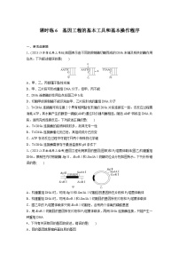 第十单元　生物技术与工程　课时练6　基因工程的基本工具和基本操作程序（含答案）2024届高三生物一轮复习