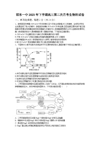 湖南省邵东市第一中学2023-2024学年高三上学期第二次月考生物试题（含答案）