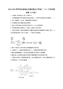 2023-2024学年河北省保定市唐县重点中学高二（上）月考生物试卷（9月份）（含解析）