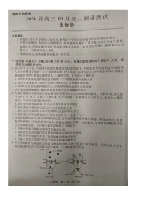 江西省赣州市大余县稳派联考2023-2024学年高三上学期10月月考生物试题