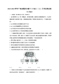 2023-2024学年广东省揭阳市普宁二中高三（上）月考生物试卷（9月份）（含解析）