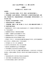 河北省邢台市五岳联盟2024届高三生物上学期9月月考试题（Word版附解析）