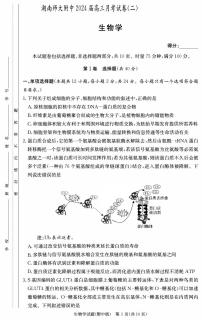 湖南师范大学附属中学2023-2024学年高三上学期月考（二）生物试题无答案