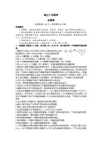 2024届山东省部分学校高三上学期十月联考生物试题及答案