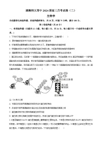 2024湖南师大附中高三上学期月考（二）生物试卷含解析