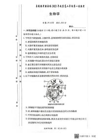 2024湖南省名校联考联合体高二上学期第一次联考生物试题扫描版含解析