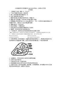 北京首都师范大学附属中学2023-2024学年高一上学期10月月考生物试题（月考）