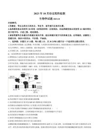 2024届山东省潍坊市高三上学期10月过程性检测联考 生物试题及答案