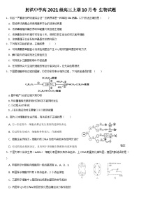 2024四川省射洪中学高三上学期10月月考试题生物含答案