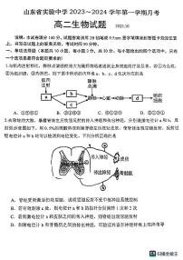 2024山东省实验中学高二上学期10月月考试题生物PDF版含答案