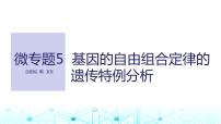 2024届苏教版高中生物一轮复习微专题5基因的自由组合定律的遗传特例分析课件