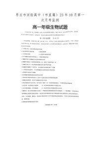 山东省枣庄市实验高中（市直属）2023-2024学年高一上学期10月第一次月考监测生物试题（月考）