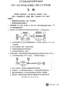 辽宁省重点高中沈阳市郊联体2023-2024学年高二生物上学期10月月考试题（PDF版附答案）