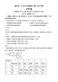 四川省宜宾市叙州区第一中学2023-2024学年高二生物上学期10月月考试题（Word版附解析）