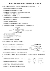 四川省射洪中学2024届高三生物上学期10月月考试题（Word版附答案）