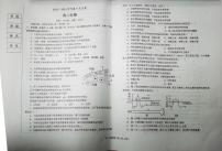 2024辽宁省辽东南协作校高二上学期10月月考生物试题扫描版含答案