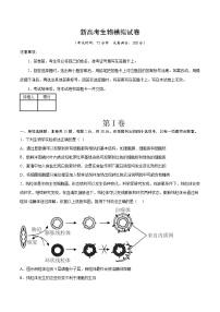 新高考生物模拟试卷03（原卷版+解析版）