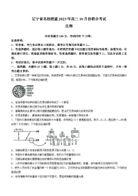 辽宁省名校联盟2023年高二生物上学期10月份联合考试试题（Word版附答案）