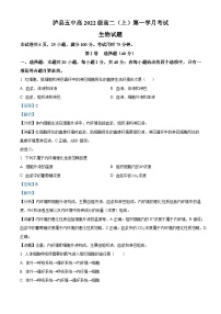 四川省泸县第五中学2023-2024学年高二生物上学期10月月考试题（Word版附解析）
