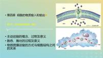 高中生物人教版 (2019)必修1《分子与细胞》第2节 主动运输与胞吞、胞吐多媒体教学ppt课件