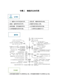 新高考生物二轮复习综合提升训练专题三 细胞的生命历程（含解析）
