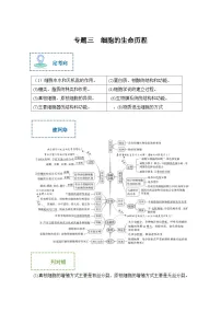 新高考生物二轮复习综合提升训练专题三 细胞的生命历程（含解析）