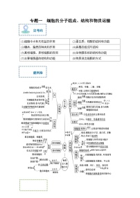 新高考生物二轮复习综合提升训练专题一 细胞的分子组成、结构和物质运输（含解析）