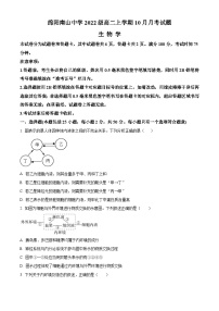 2024绵阳南山中学高二上学期10月月考生物试题含解析