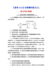 新高考生物一轮复习课时练习3　蛋白质和核酸(含解析）