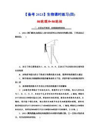 新高考生物一轮复习课时练习4　细胞膜和细胞核(含解析）