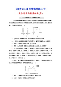 新高考生物一轮复习课时练习10　光合作用与能量转化(Ⅱ)(含解析）