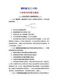 新高考生物一轮复习课时练习24　人体的内环境与稳态(含解析）