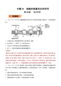 新高考生物一轮复习小题过关训练第09练 光合作用（含解析）